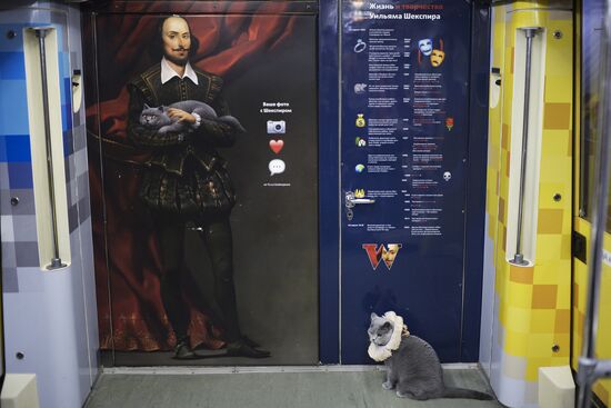 British cat rides Shakespeare train in Moscow metro