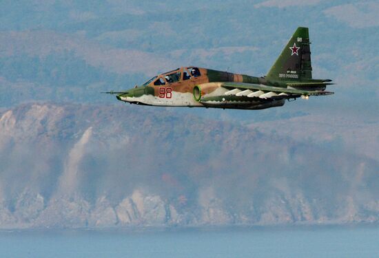 Exercise of a Pacific Fleet Marine Brigade