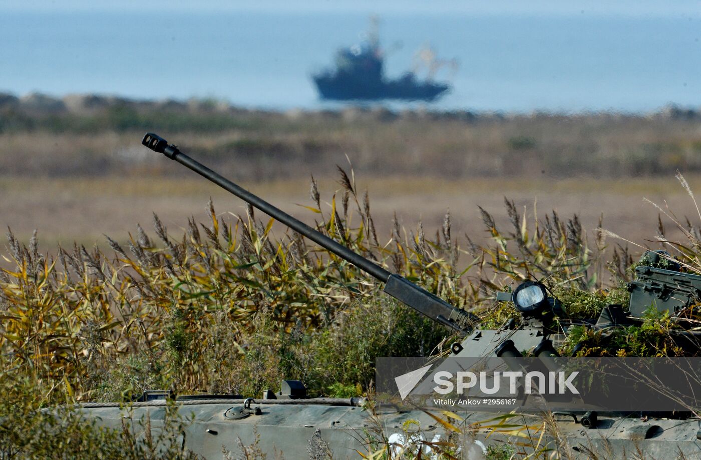 Exercise of a Pacific Fleet Marine Brigade
