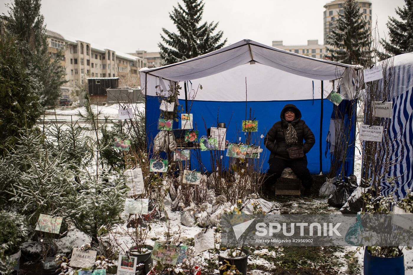 Pokrovskaya Fair in Omsk