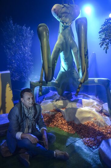 Giant Insects interactive exhibition