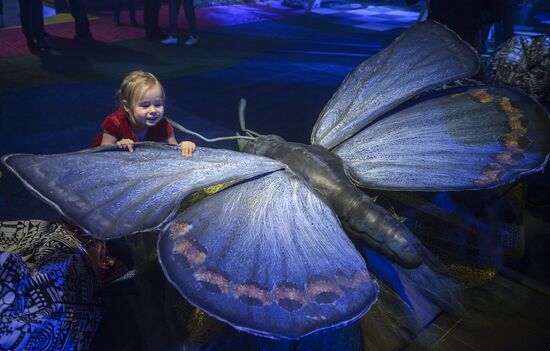 Giant Insects interactive exhibition