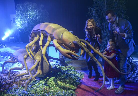 Giant Insects interactive exhibition