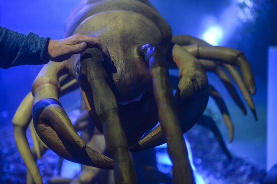 Giant Insects interactive exhibition