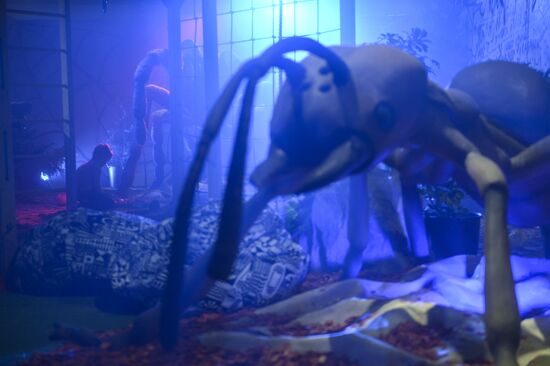 Giant Insects interactive exhibition