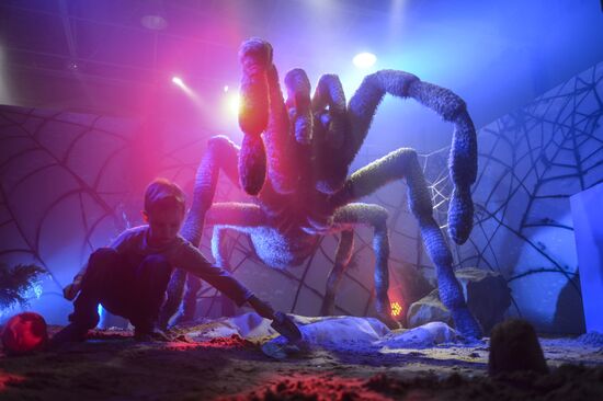 Giant Insects interactive exhibition