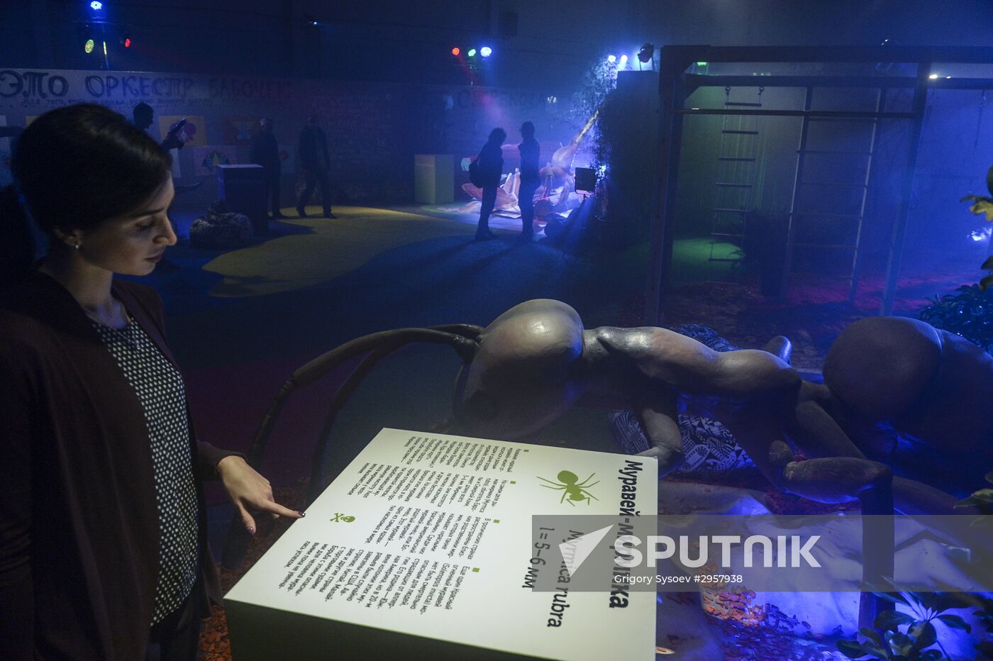 Giant Insects interactive exhibition