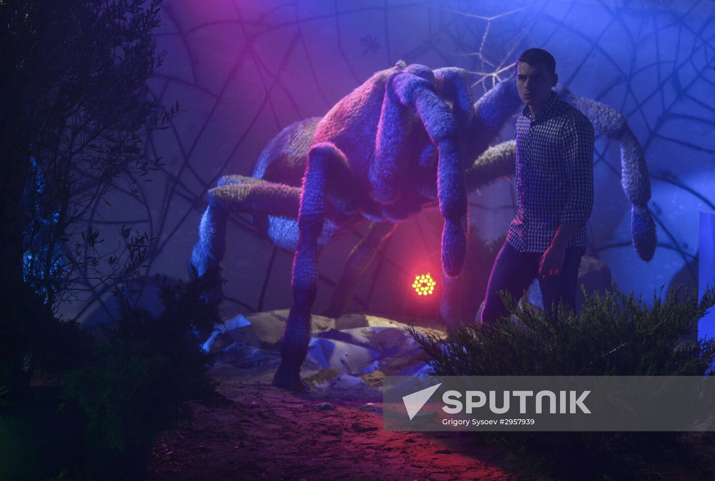 Giant Insects interactive exhibition