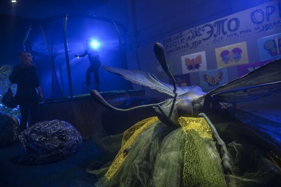 Giant Insects interactive exhibition