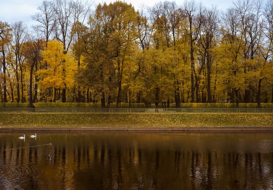 Golden fall at Summer Garden in St. Petersburg
