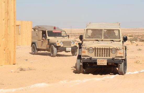 Russia, Egypt conduct Defenders of Friendship 2016 exercise. Day Three