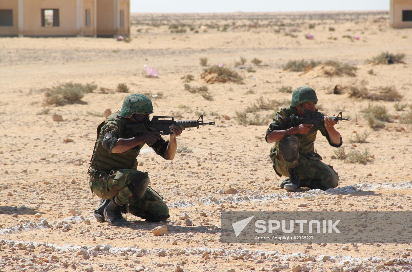 Russia, Egypt conduct Defenders of Friendship 2016 exercise. Day Three
