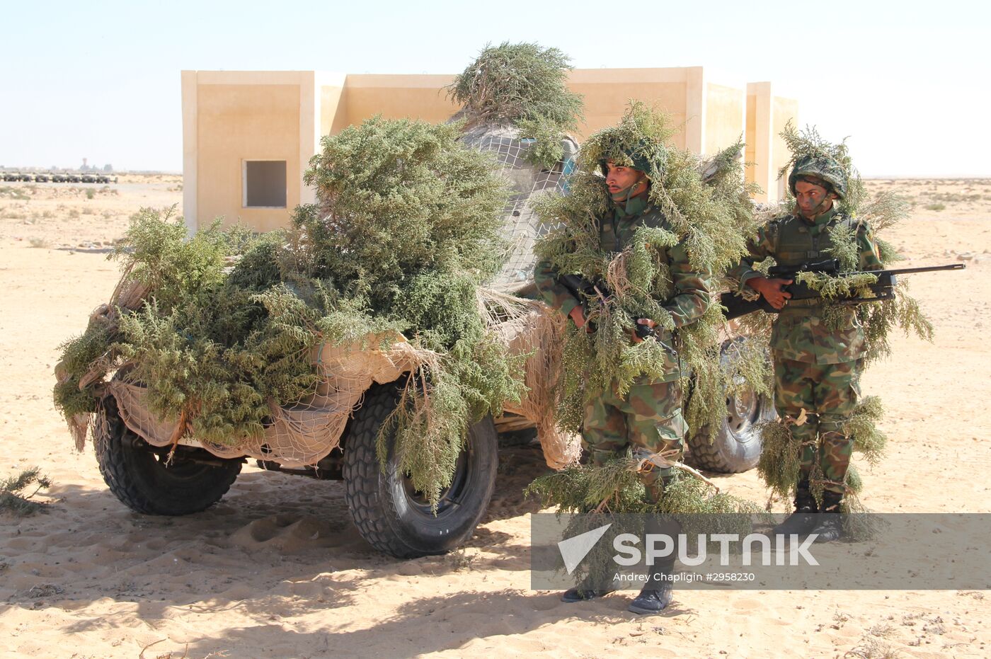 Russia, Egypt conduct Defenders of Friendship 2016 exercise. Day Three
