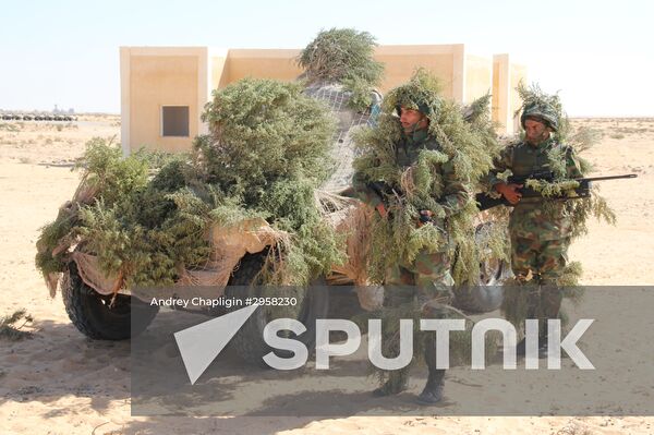Russia, Egypt conduct Defenders of Friendship 2016 exercise. Day Three