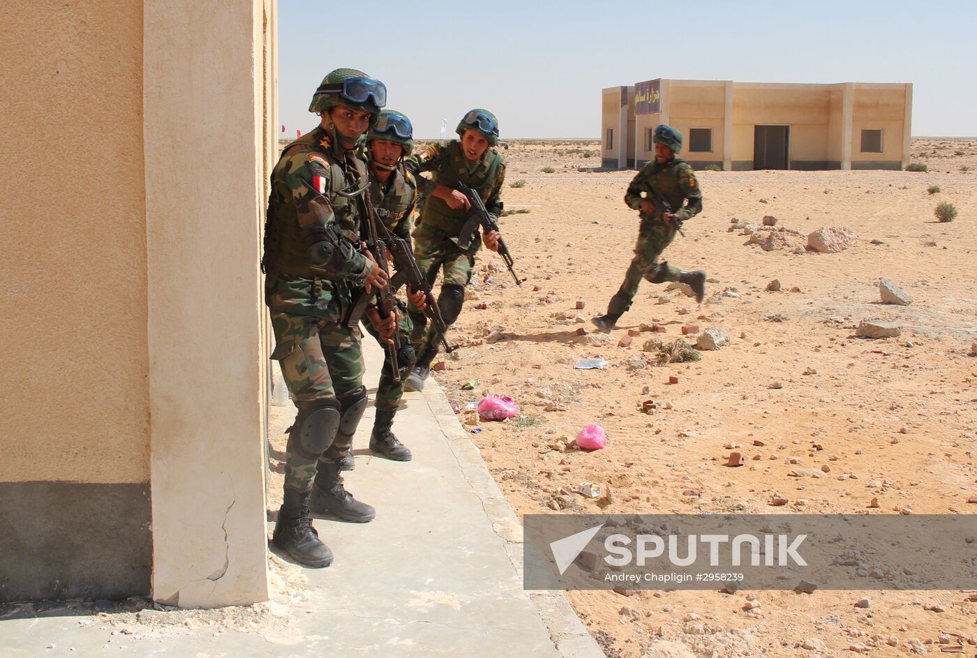 Russia, Egypt conduct Defenders of Friendship 2016 exercise. Day Three