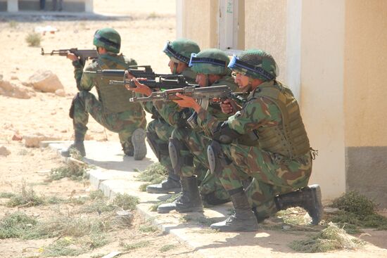 Russia, Egypt conduct Defenders of Friendship 2016 exercise. Day Three