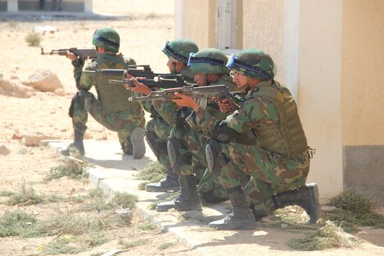 Russia, Egypt conduct Defenders of Friendship 2016 exercise. Day Three