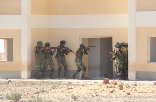 Russia, Egypt conduct Defenders of Friendship 2016 exercise. Day Three