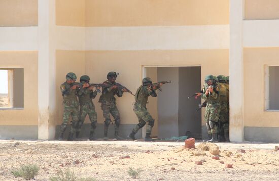 Russia, Egypt conduct Defenders of Friendship 2016 exercise. Day Three