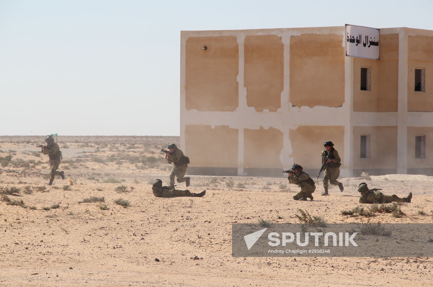 Russia, Egypt conduct Defenders of Friendship 2016 exercise. Day Three