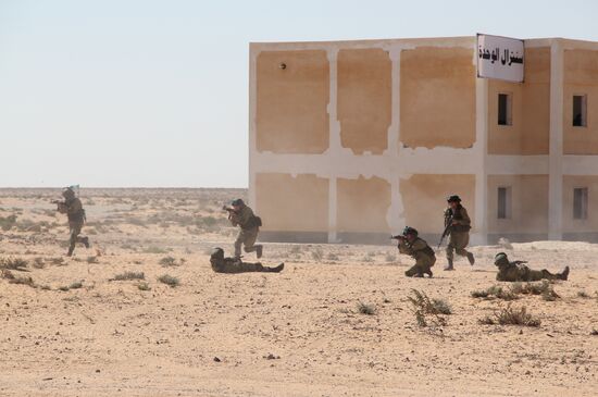 Russia, Egypt conduct Defenders of Friendship 2016 exercise. Day Three