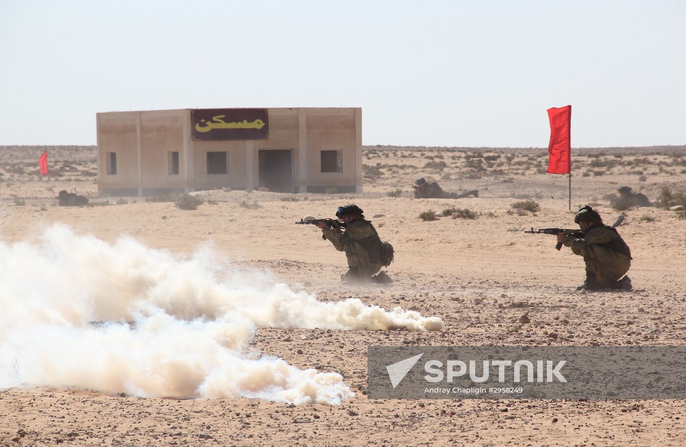 Russia, Egypt conduct Defenders of Friendship 2016 exercise. Day Three