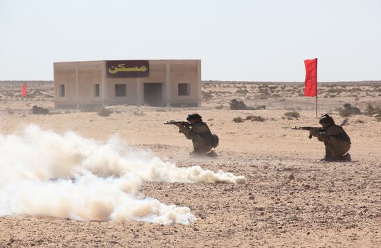 Russia, Egypt conduct Defenders of Friendship 2016 exercise. Day Three