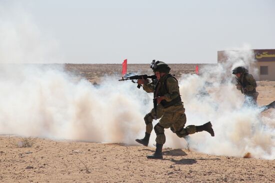 Russia, Egypt conduct Defenders of Friendship 2016 exercise. Day Three