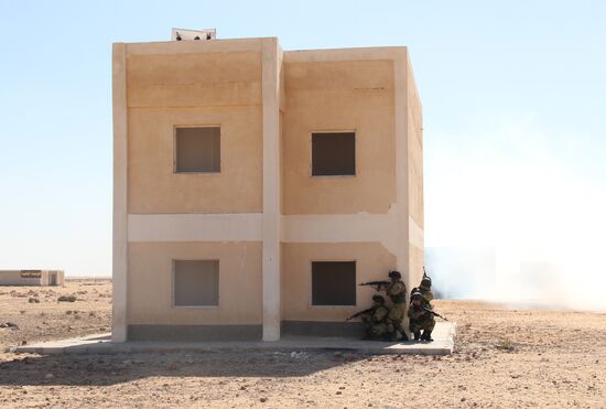 Russia, Egypt conduct Defenders of Friendship 2016 exercise. Day Three