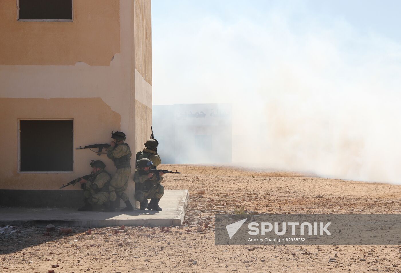 Russia, Egypt conduct Defenders of Friendship 2016 exercise. Day Three
