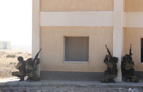 Russia, Egypt conduct Defenders of Friendship 2016 exercise. Day Three