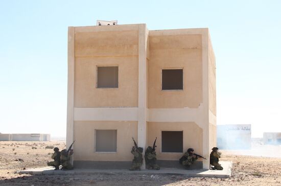 Russia, Egypt conduct Defenders of Friendship 2016 exercise. Day Three
