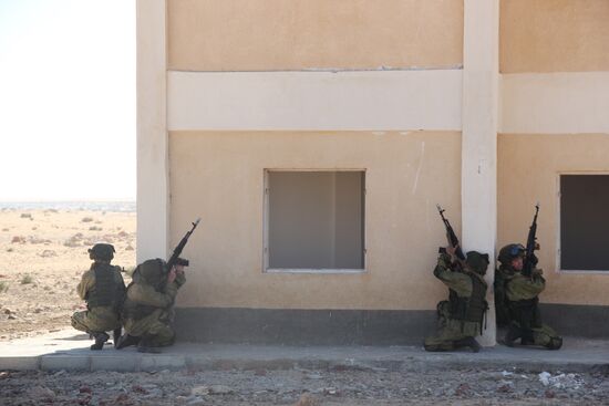 Russia, Egypt conduct Defenders of Friendship 2016 exercise. Day Three