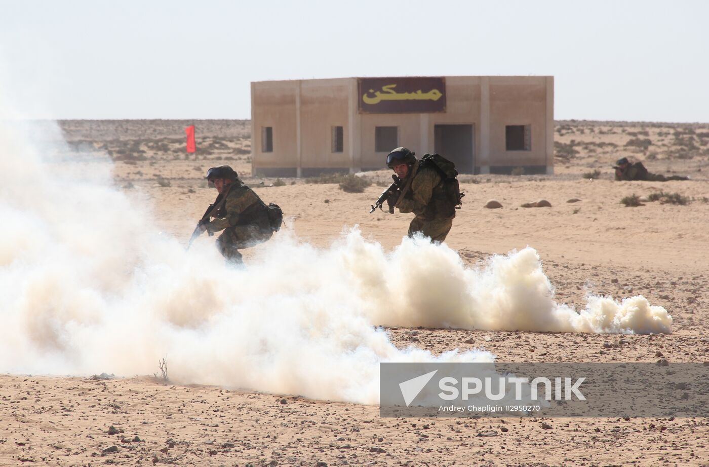 Russia, Egypt conduct Defenders of Friendship 2016 exercise. Day Three