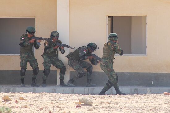 Russia, Egypt conduct Defenders of Friendship 2016 exercise. Day Three
