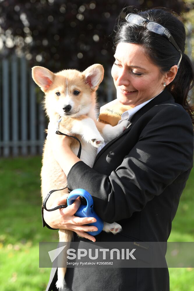 Patriarch Kirill presented with Corgy puppy in London