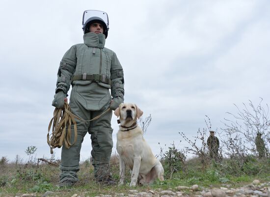 Removal of mines from agricultural land in Chechnya