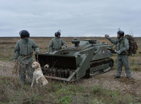 Removal of mines from agricultural land in Chechnya
