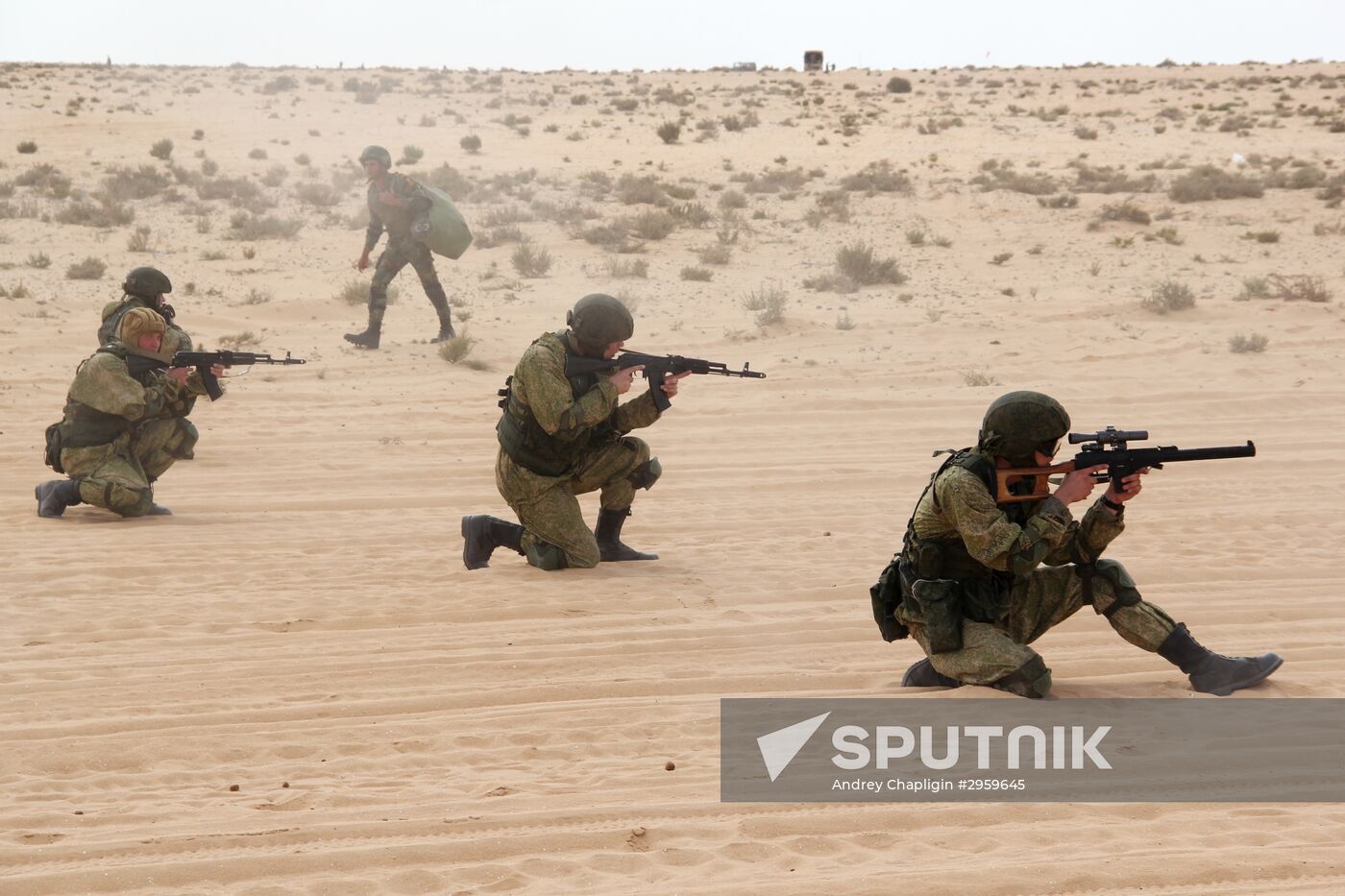2016 Defenders of Friendship Russian-Egyptian counter terrorism exercise