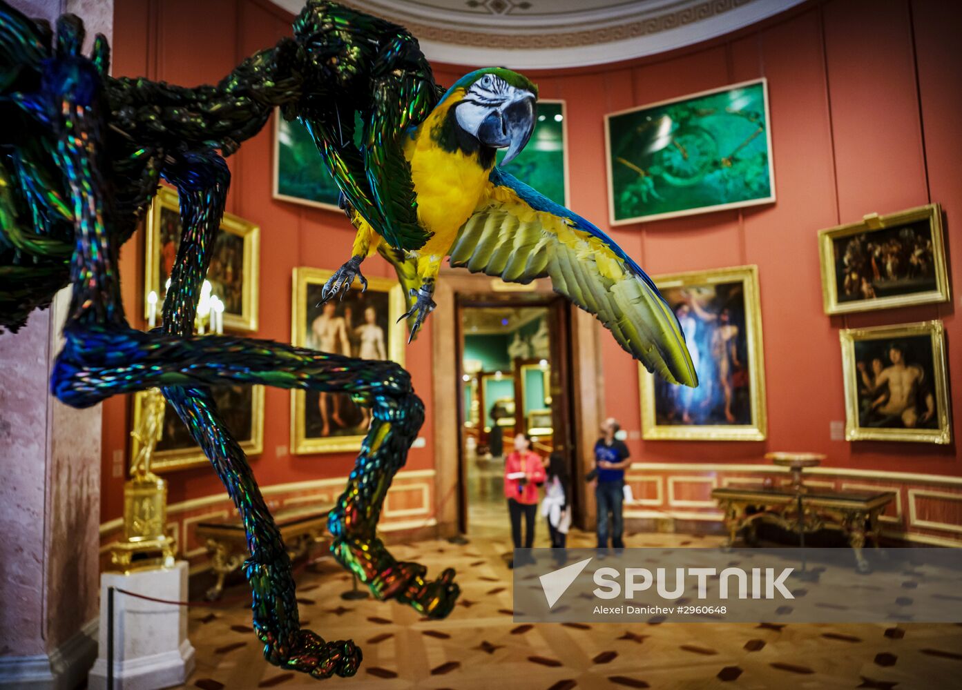 Jan Fabre exhibition opens in the Hermitage