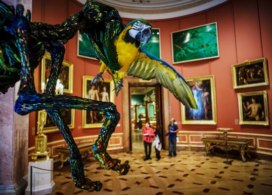 Jan Fabre exhibition opens in the Hermitage