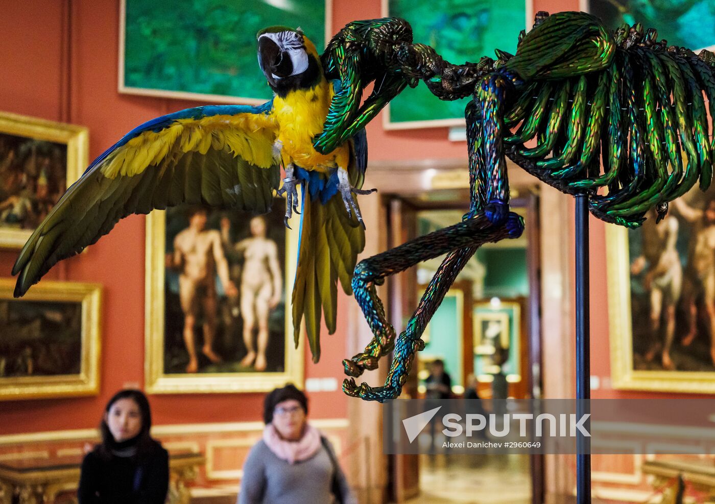 Jan Fabre exhibition opens in the Hermitage