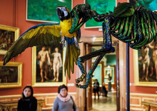 Jan Fabre exhibition opens in the Hermitage