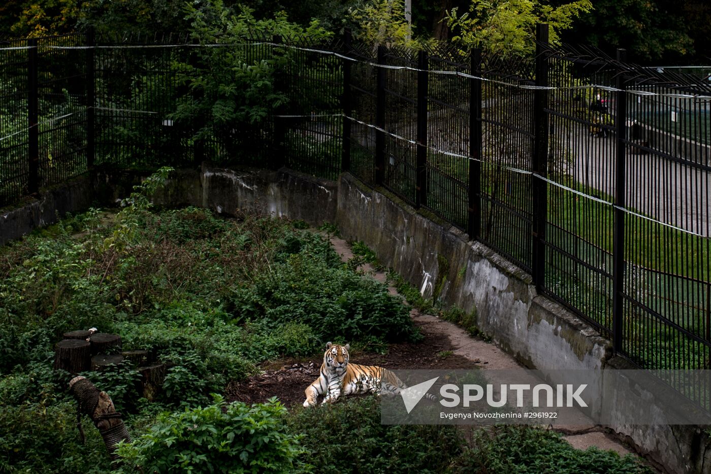 Kaliningrad Zoo