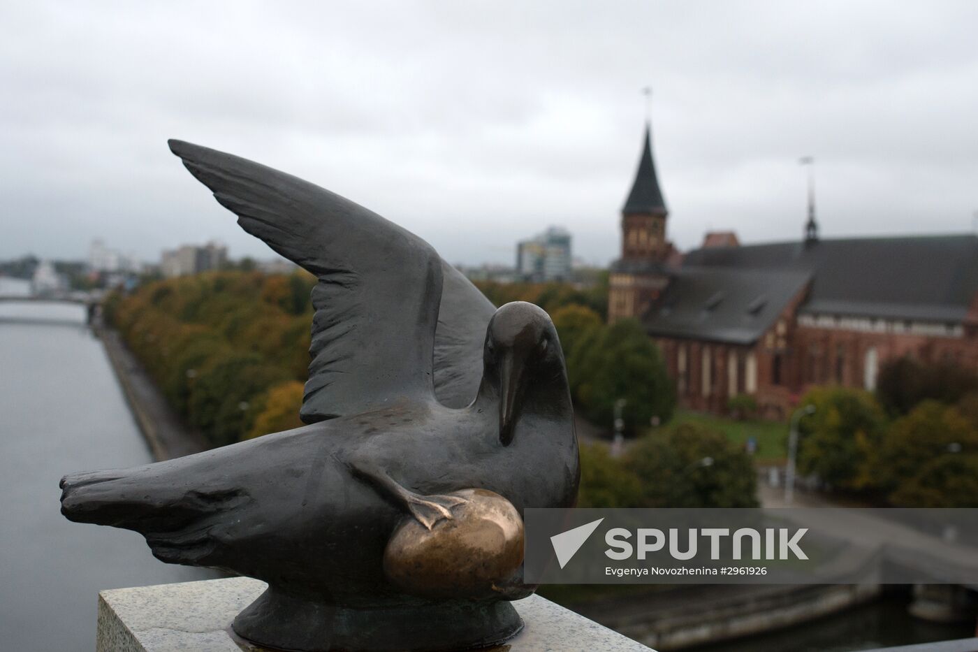 Cities of Russia. Kaliningrad
