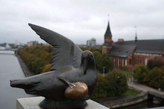 Cities of Russia. Kaliningrad
