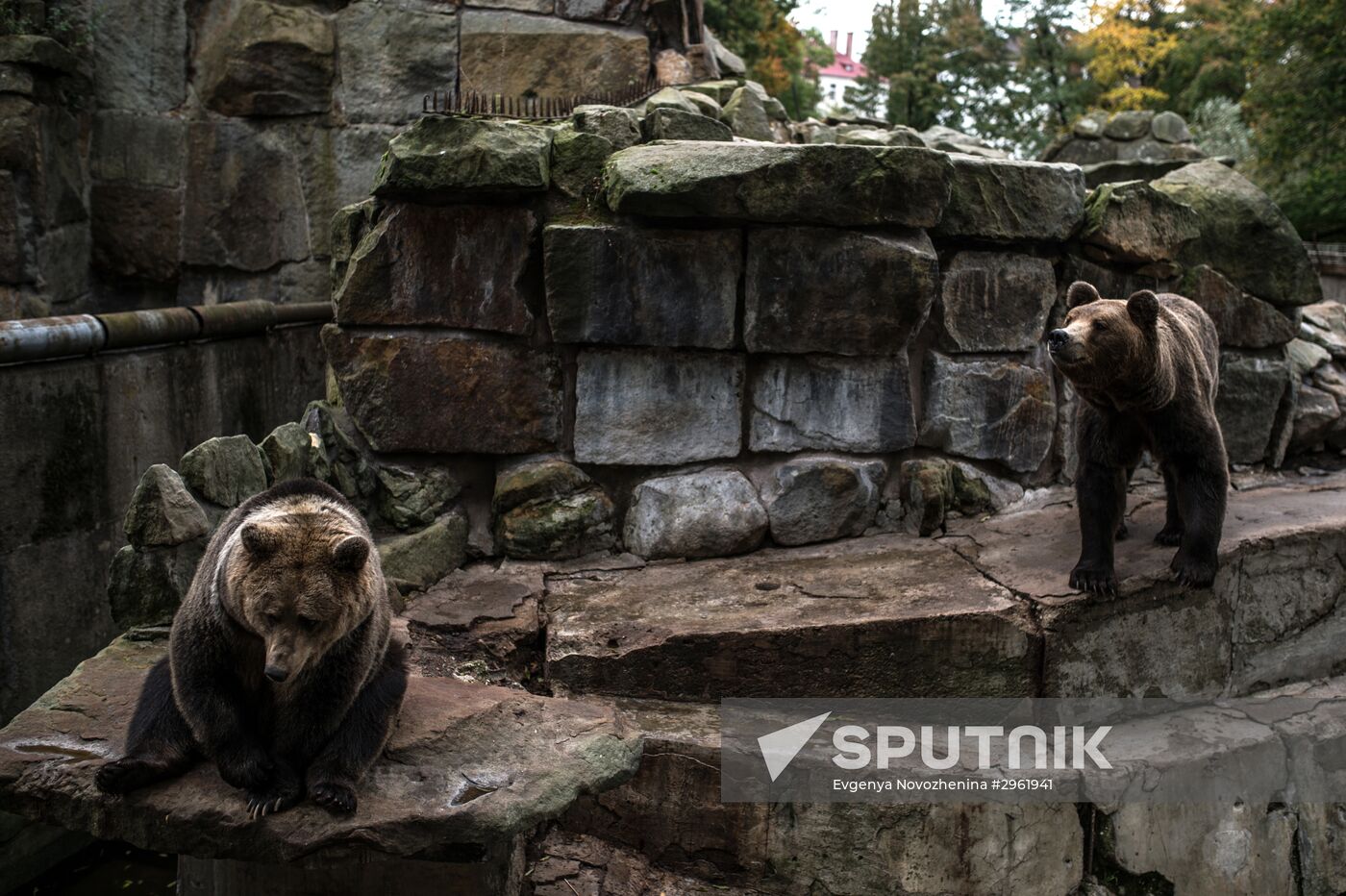 Kaliningrad Zoo