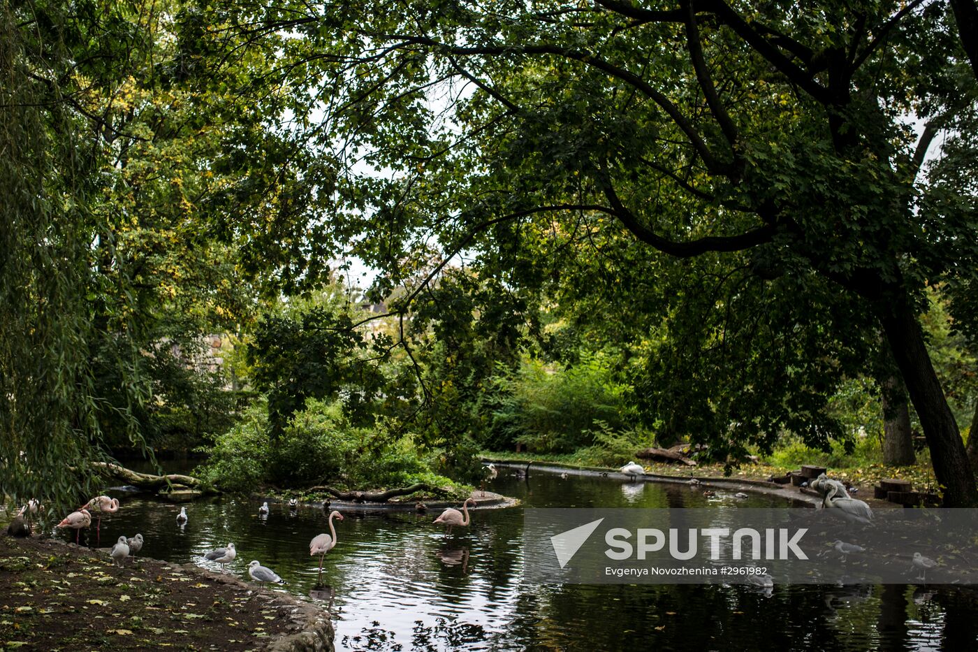 Kaliningrad Zoo