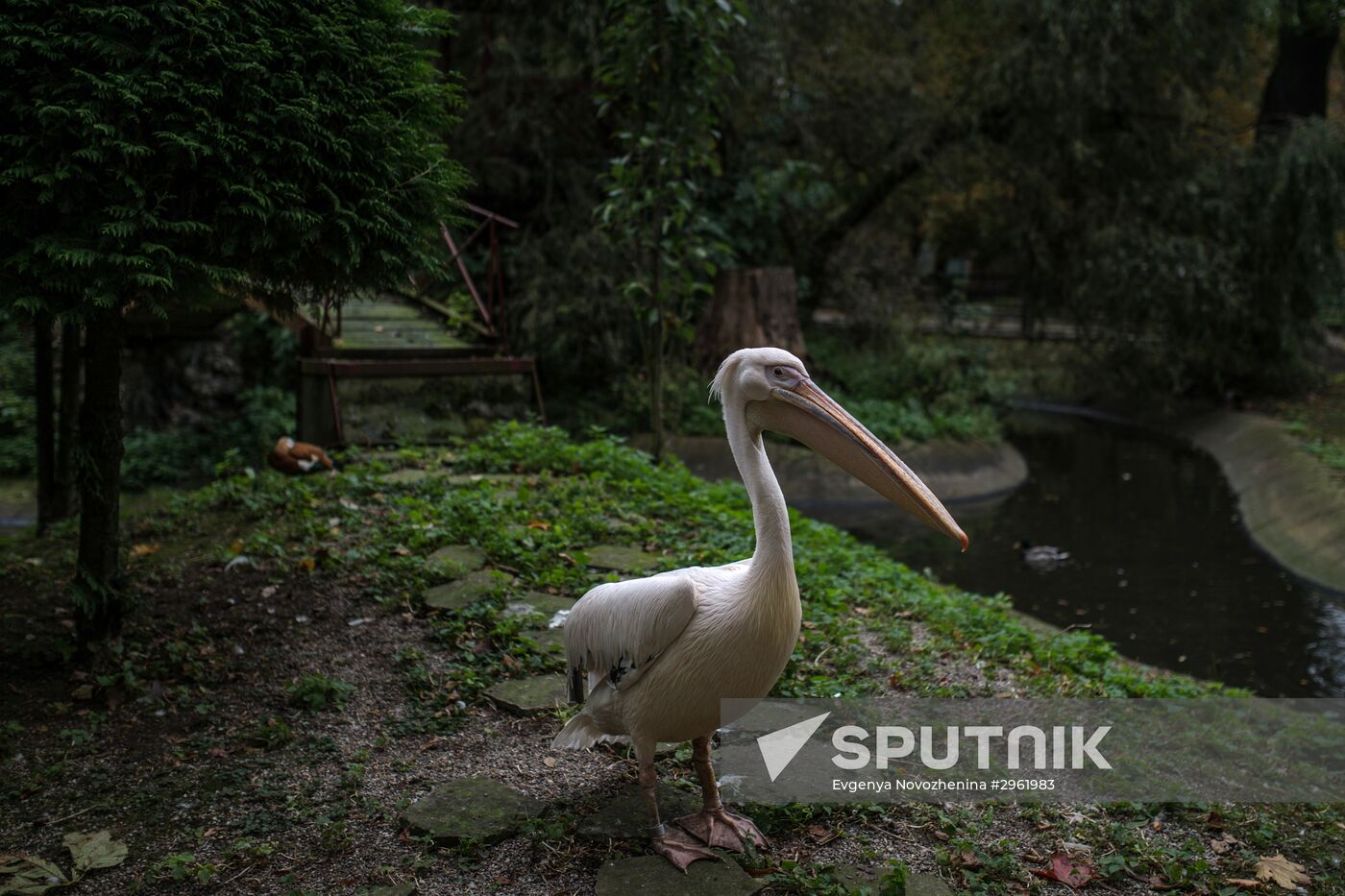 Kaliningrad Zoo