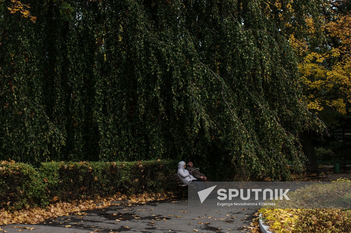 Kaliningrad Zoo